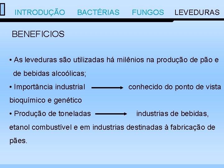  INTRODUÇÃO BACTÉRIAS FUNGOS LEVEDURAS BENEFICIOS • As leveduras são utilizadas há milênios na