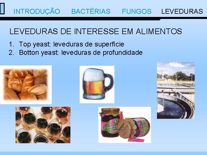  INTRODUÇÃO BACTÉRIAS FUNGOS LEVEDURAS DE INTERESSE EM ALIMENTOS 1. Top yeast: leveduras de