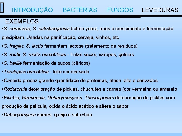  INTRODUÇÃO BACTÉRIAS FUNGOS LEVEDURAS EXEMPLOS • S. cerevisae, S. calrsbergensis botton yeast, após