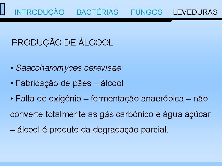  INTRODUÇÃO BACTÉRIAS FUNGOS LEVEDURAS PRODUÇÃO DE ÁLCOOL • Saaccharomyces cerevisae • Fabricação de