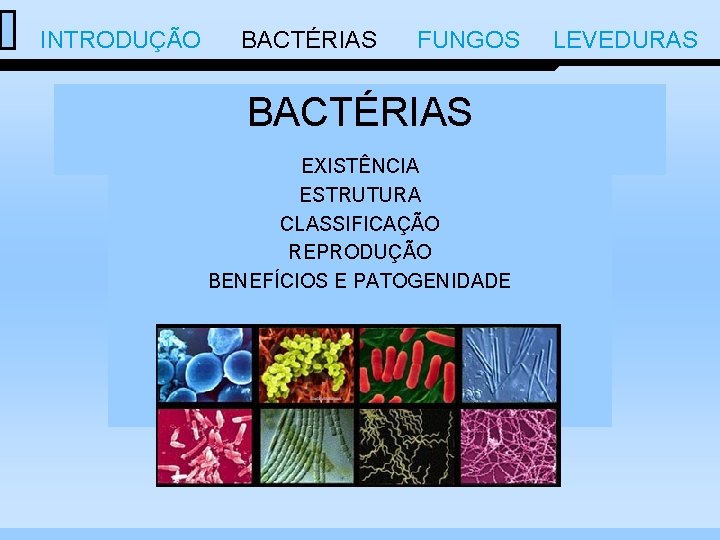  INTRODUÇÃO BACTÉRIAS FUNGOS LEVEDURAS BACTÉRIAS EXISTÊNCIA ESTRUTURA CLASSIFICAÇÃO REPRODUÇÃO BENEFÍCIOS E PATOGENIDADE 