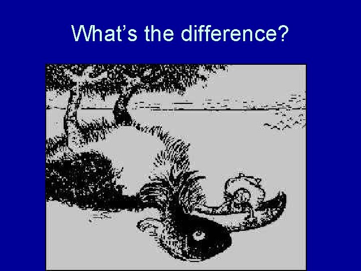 What’s the difference? 