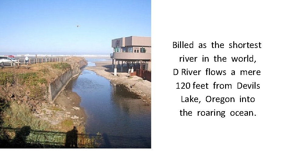 Billed as the shortest river in the world, D River flows a mere 120