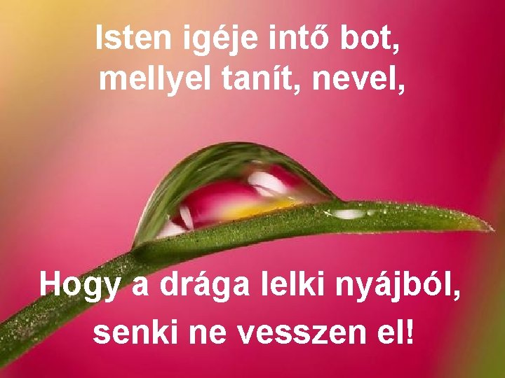 Isten igéje intő bot, mellyel tanít, nevel, Hogy a drága lelki nyájból, senki ne