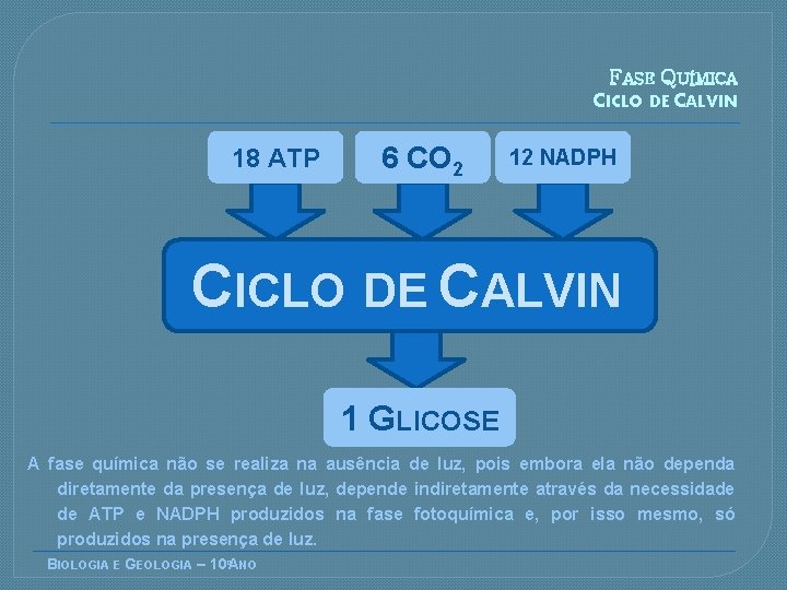FASE QUÍMICA CICLO DE CALVIN 18 ATP 6 CO 2 12 NADPH CICLO DE