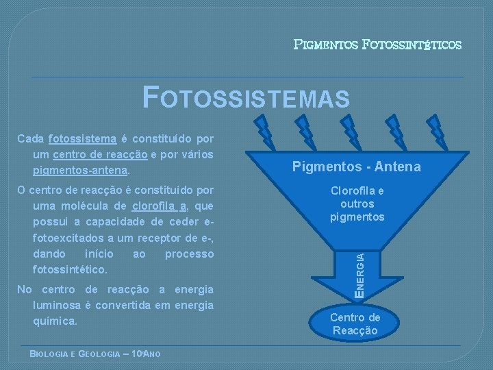 PIGMENTOS FOTOSSINTÉTICOS FOTOSSISTEMAS O centro de reacção é constituído por uma molécula de clorofila