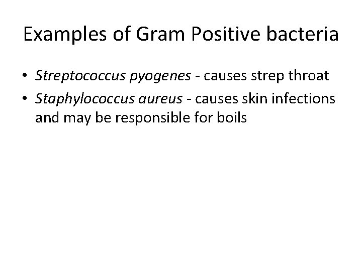 Examples of Gram Positive bacteria • Streptococcus pyogenes - causes strep throat • Staphylococcus