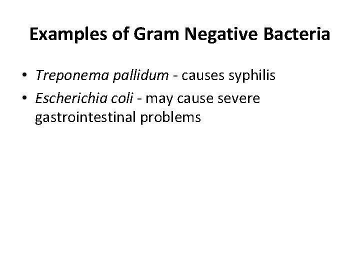 Examples of Gram Negative Bacteria • Treponema pallidum - causes syphilis • Escherichia coli
