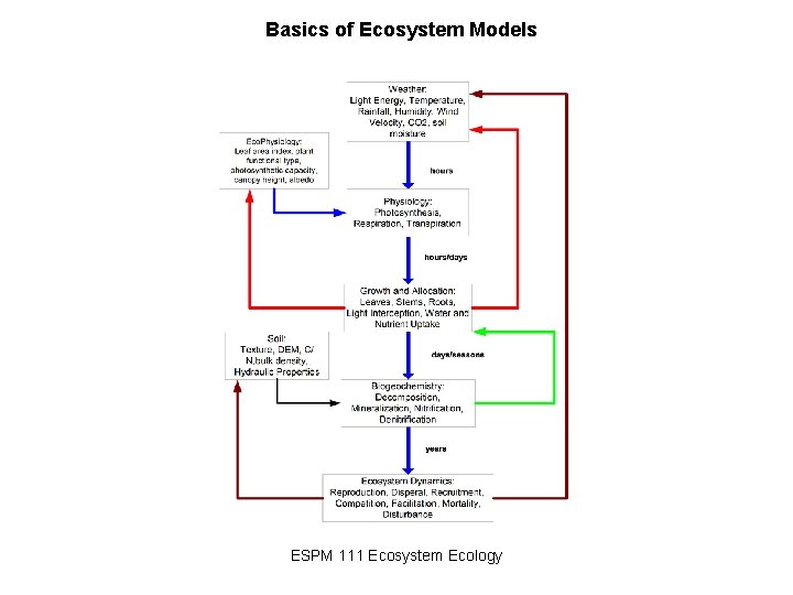 Basics of Ecosystem Models ESPM 111 Ecosystem Ecology 