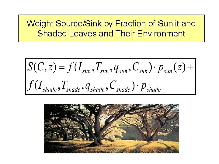 Weight Source/Sink by Fraction of Sunlit and Shaded Leaves and Their Environment 