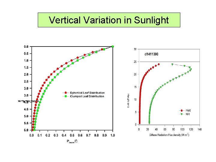 Vertical Variation in Sunlight 