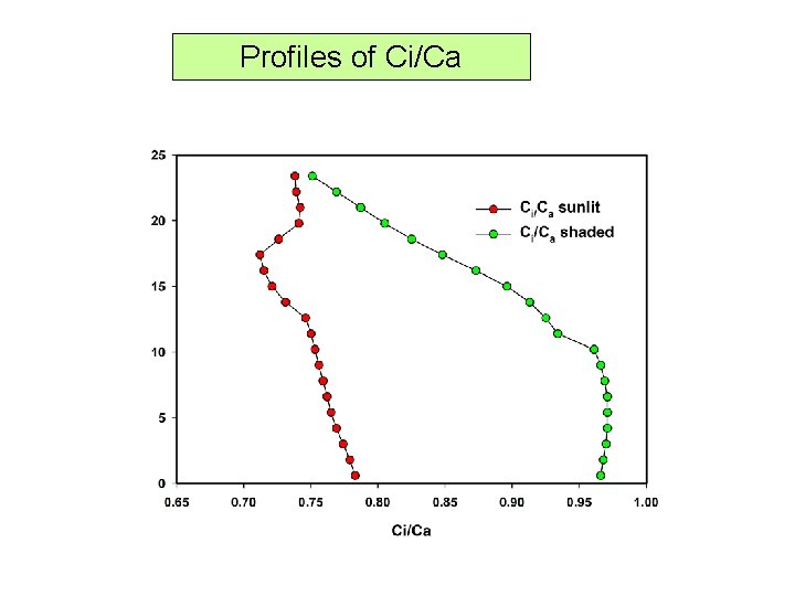 Profiles of Ci/Ca 