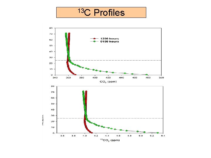 13 C Profiles 