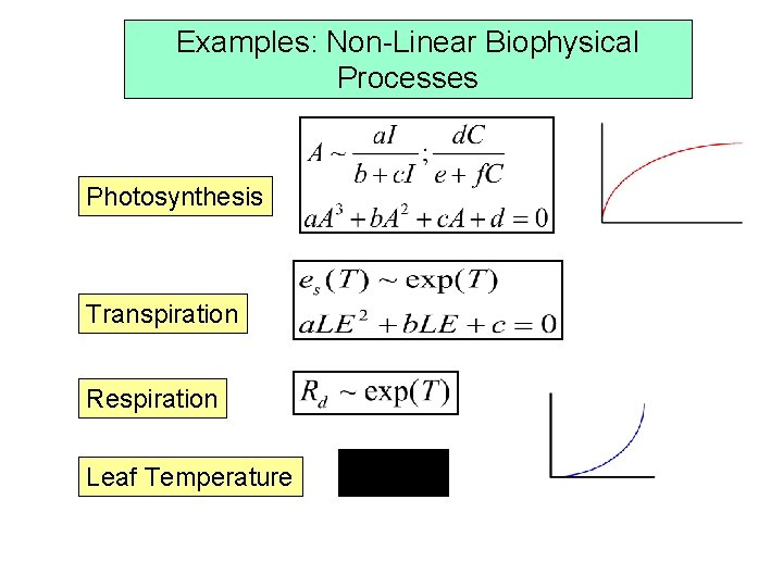 Examples: Non-Linear Biophysical Processes Photosynthesis Transpiration Respiration Leaf Temperature 