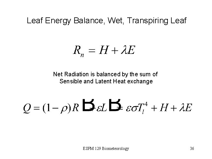 Leaf Energy Balance, Wet, Transpiring Leaf Net Radiation is balanced by the sum of