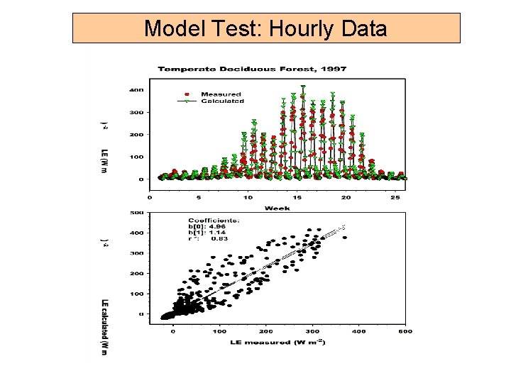 Model Test: Hourly Data 