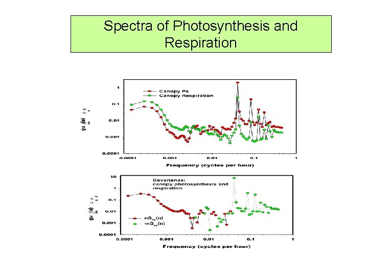 Spectra of Photosynthesis and Respiration 