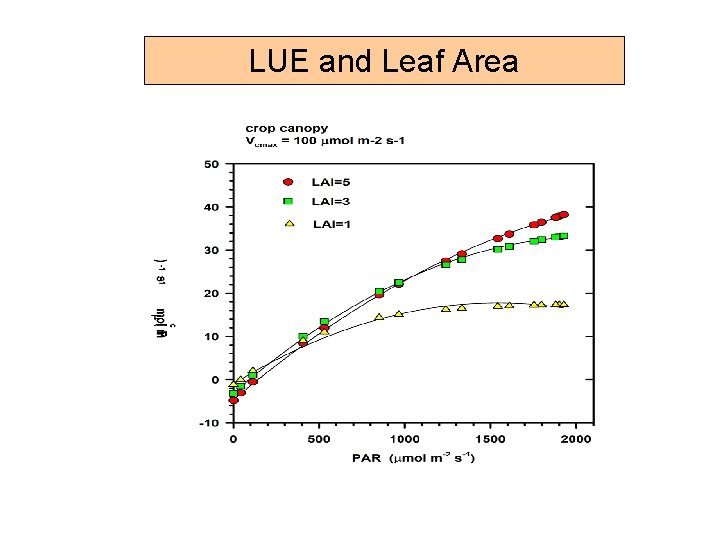 LUE and Leaf Area 