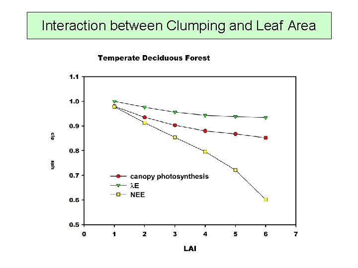 Interaction between Clumping and Leaf Area 