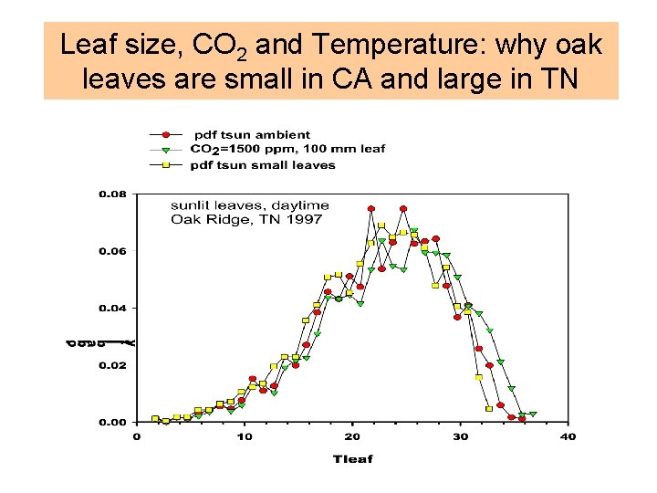 Leaf size, CO 2 and Temperature: why oak leaves are small in CA and