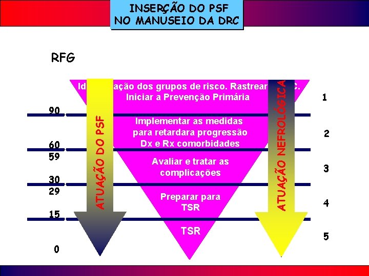 INSERÇÃO DO PSF NO MANUSEIO DA DRC (m. L/min/1, 73 90 89 60 59