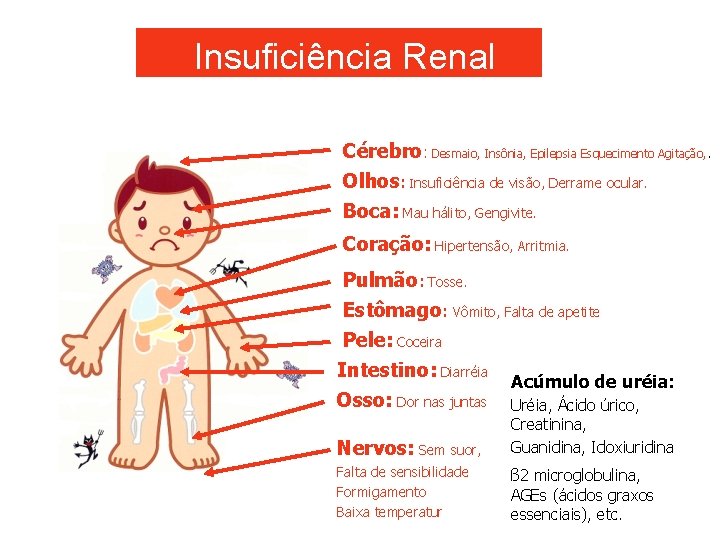 Insuficiência Renal Cérebro: Desmaio, Insônia, Epilepsia Esquecimento Agitação, . Olhos: Insuficiência de visão, Derrame