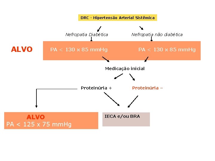 DRC - Hipertensão Arterial Sistêmica Nefropatia Diabética ALVO PA < 130 x 85 mm.