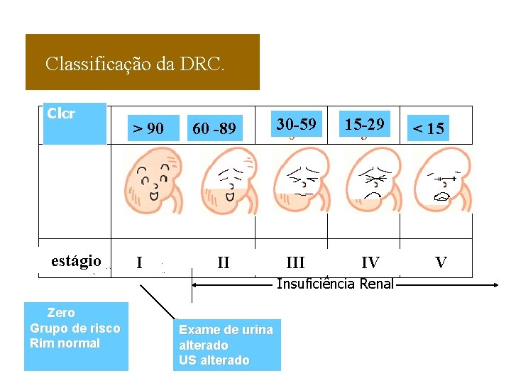 Classificação da DRC. Clcr estágio > 90 I 60 -89 II 30 -59 III