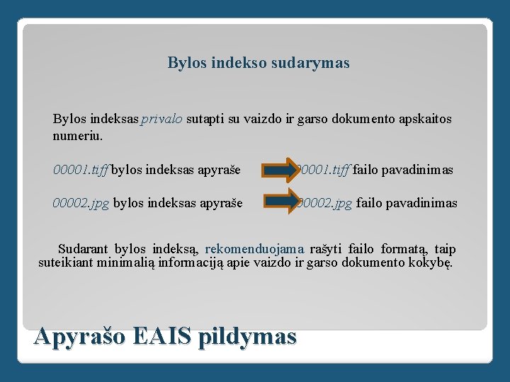 Bylos indekso sudarymas Bylos indeksas privalo sutapti su vaizdo ir garso dokumento apskaitos numeriu.