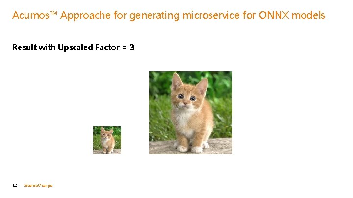 Acumos™ Approache for generating microservice for ONNX models Result with Upscaled Factor = 3