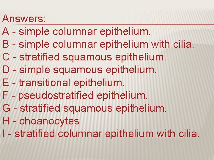 Answers: A - simple columnar epithelium. B - simple columnar epithelium with cilia. C