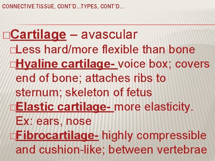 CONNECTIVE TISSUE, CONT’D…TYPES, CONT’D… �Cartilage �Less – avascular hard/more flexible than bone �Hyaline cartilage-