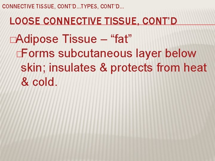 CONNECTIVE TISSUE, CONT’D…TYPES, CONT’D… LOOSE CONNECTIVE TISSUE, CONT’D �Adipose Tissue – “fat” �Forms subcutaneous