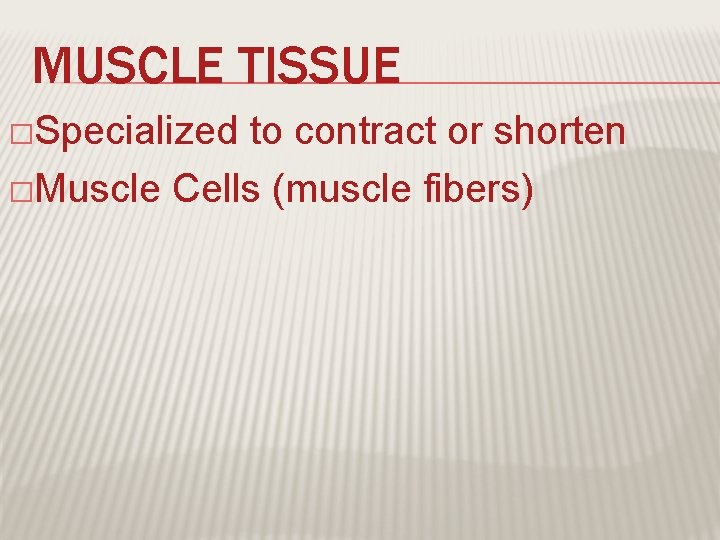 MUSCLE TISSUE �Specialized to contract or shorten �Muscle Cells (muscle fibers) 