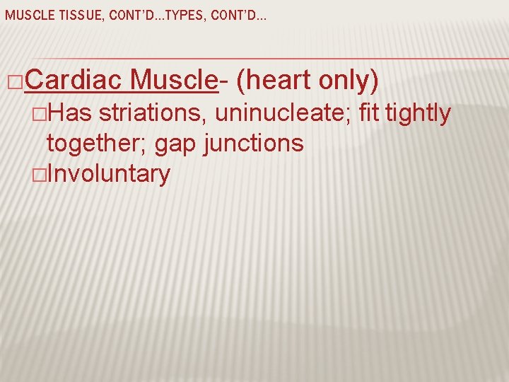 MUSCLE TISSUE, CONT’D…TYPES, CONT’D… �Cardiac �Has Muscle- (heart only) striations, uninucleate; fit tightly together;