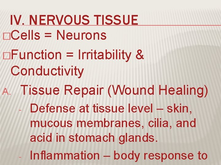 IV. NERVOUS TISSUE �Cells = Neurons �Function = Irritability & Conductivity A. Tissue Repair