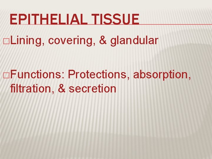 EPITHELIAL TISSUE �Lining, covering, & glandular �Functions: Protections, absorption, filtration, & secretion 