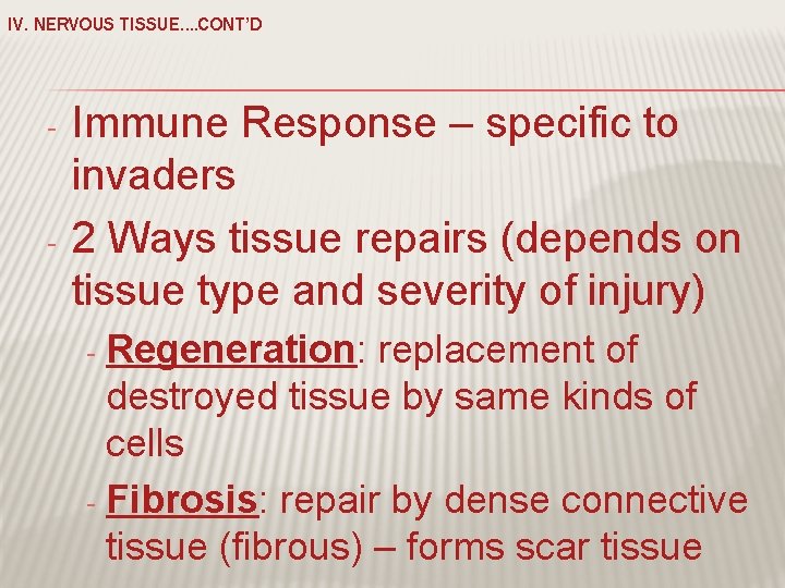 IV. NERVOUS TISSUE…. CONT’D - - Immune Response – specific to invaders 2 Ways