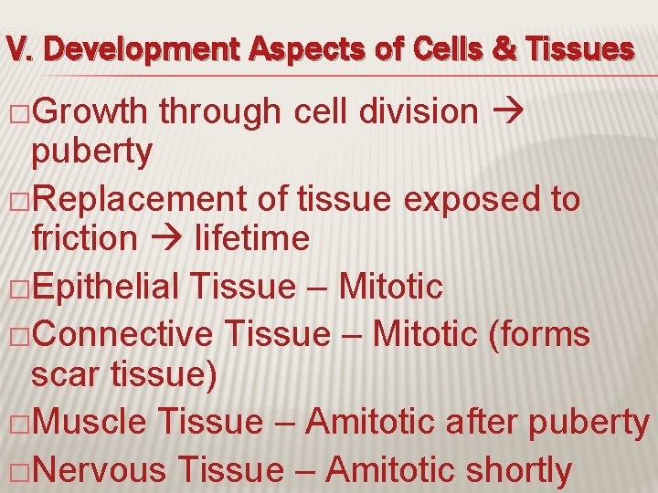 V. Development Aspects of Cells & Tissues �Growth through cell division puberty �Replacement of