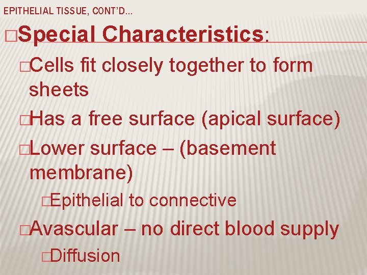 EPITHELIAL TISSUE, CONT’D… �Special Characteristics: �Cells fit closely together to form sheets �Has a