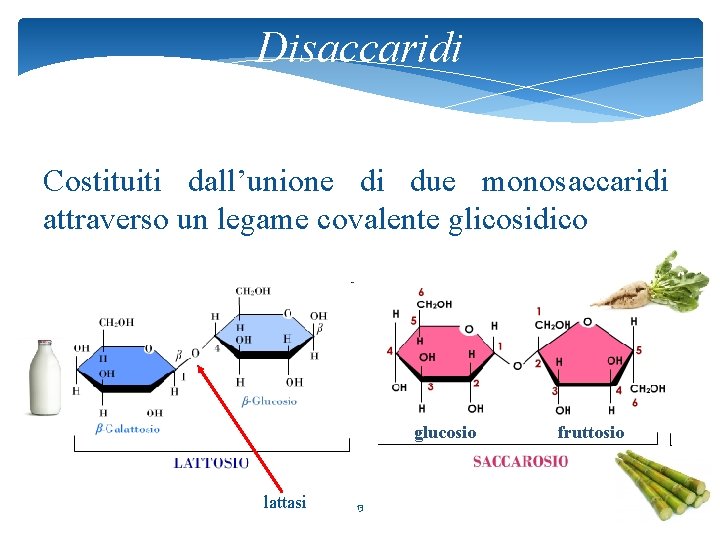 Disaccaridi Costituiti dall’unione di due monosaccaridi attraverso un legame covalente glicosidico glucosio lattasi 13