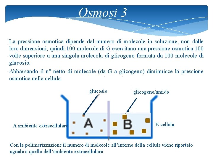 Osmosi 3 La pressione osmotica dipende dal numero di molecole in soluzione, non dalle