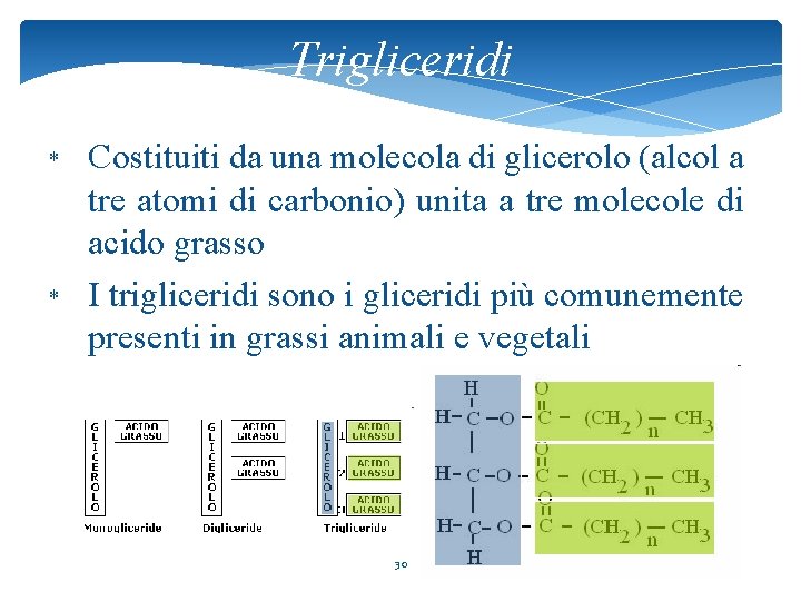 Trigliceridi * * Costituiti da una molecola di glicerolo (alcol a tre atomi di