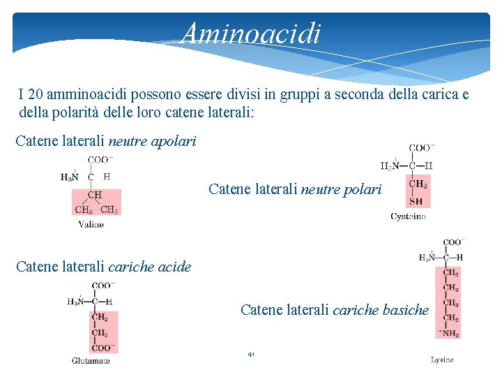 Aminoacidi I 20 amminoacidi possono essere divisi in gruppi a seconda della carica e