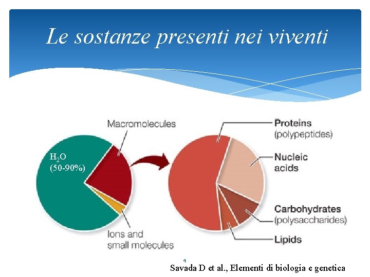 Le sostanze presenti nei viventi H 2 O (50 -90%) 4 Savada D et