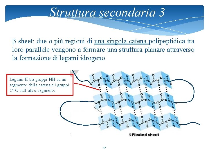 Struttura secondaria 3 sheet: due o più regioni di una singola catena polipeptidica tra