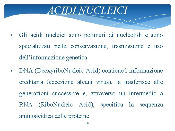 ACIDI NUCLEICI * Gli acidi nucleici sono polimeri di nucleotidi e sono specializzati nella