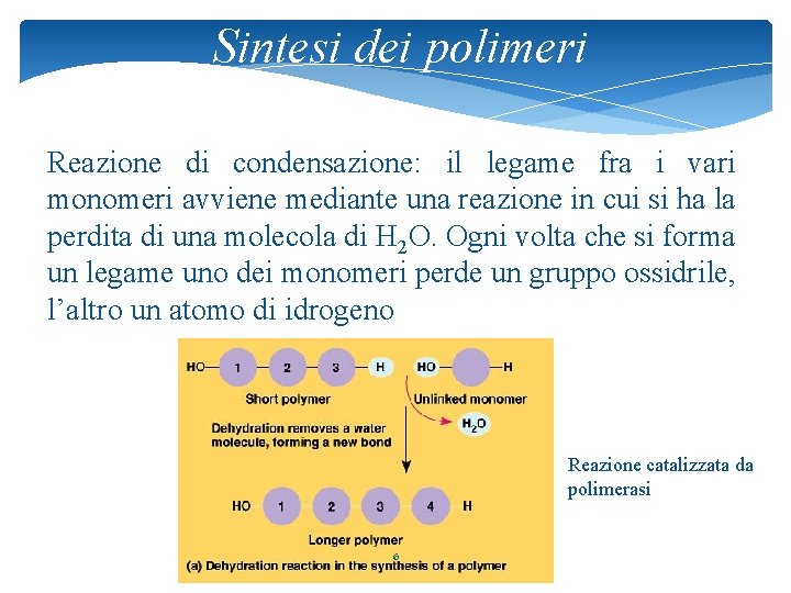 Sintesi dei polimeri Reazione di condensazione: il legame fra i vari monomeri avviene mediante