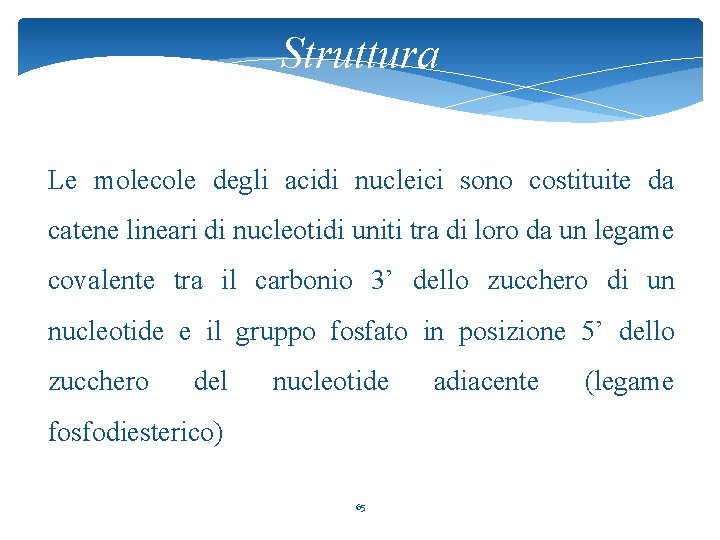 Struttura Le molecole degli acidi nucleici sono costituite da catene lineari di nucleotidi uniti