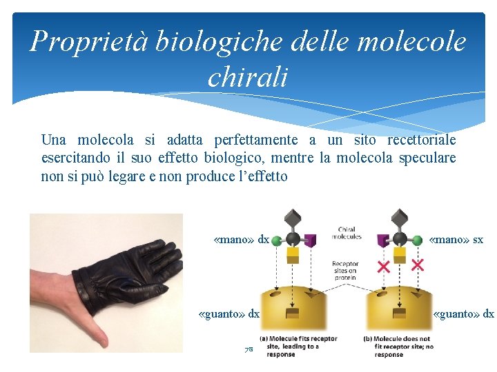 Proprietà biologiche delle molecole chirali Una molecola si adatta perfettamente a un sito recettoriale